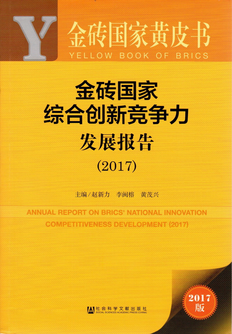 大鸡巴使劲插逼视频金砖国家综合创新竞争力发展报告（2017）